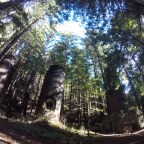 Limekiln Camping, Big Sur